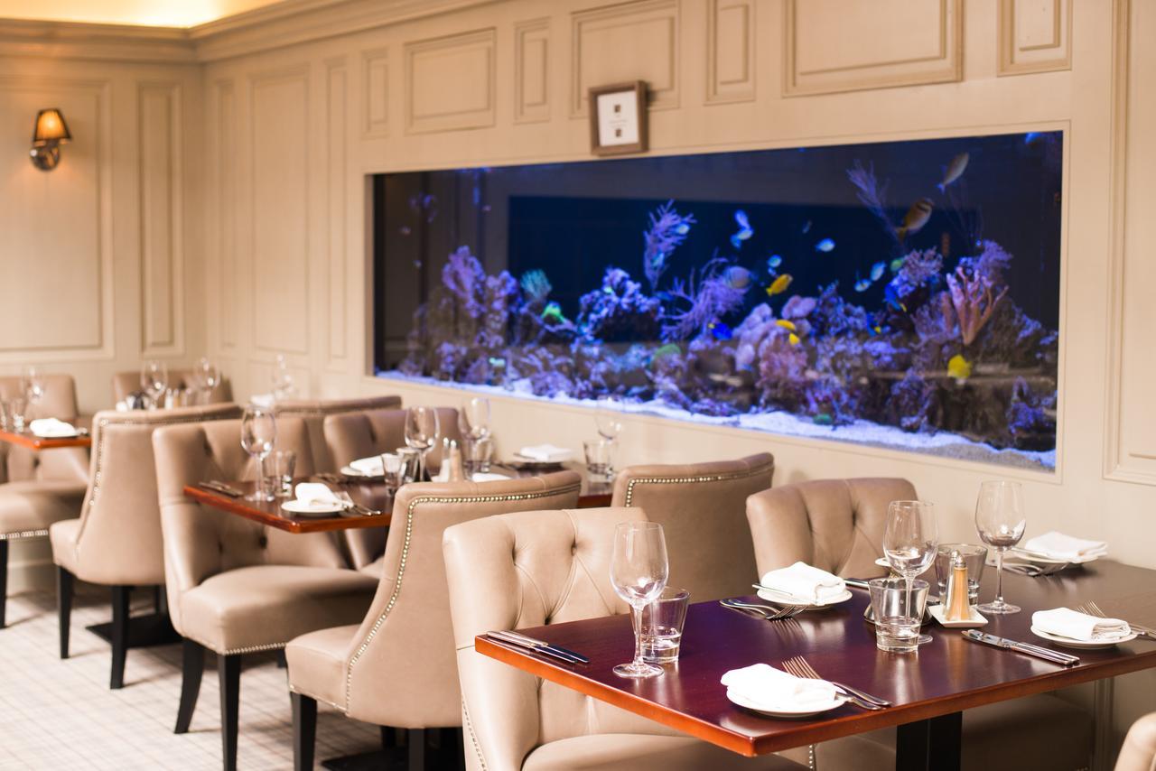 Vaughans Anchor Inn Liscannor Dış mekan fotoğraf