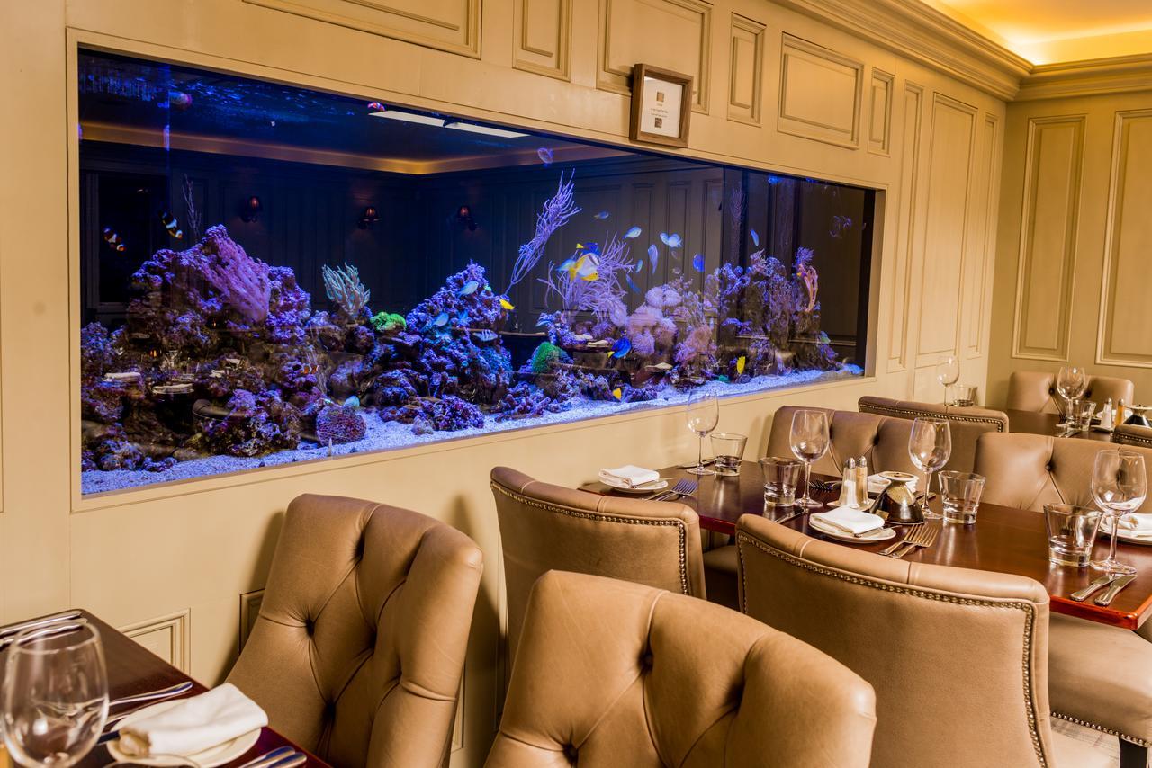 Vaughans Anchor Inn Liscannor Dış mekan fotoğraf